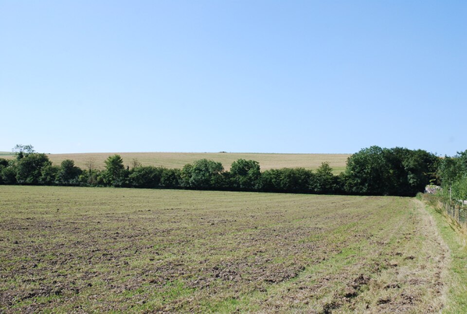 Open farm field