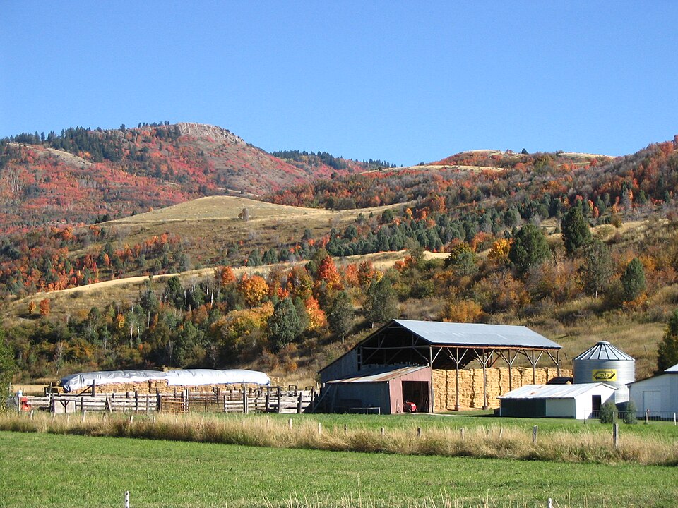 Hay bales and autumn barn