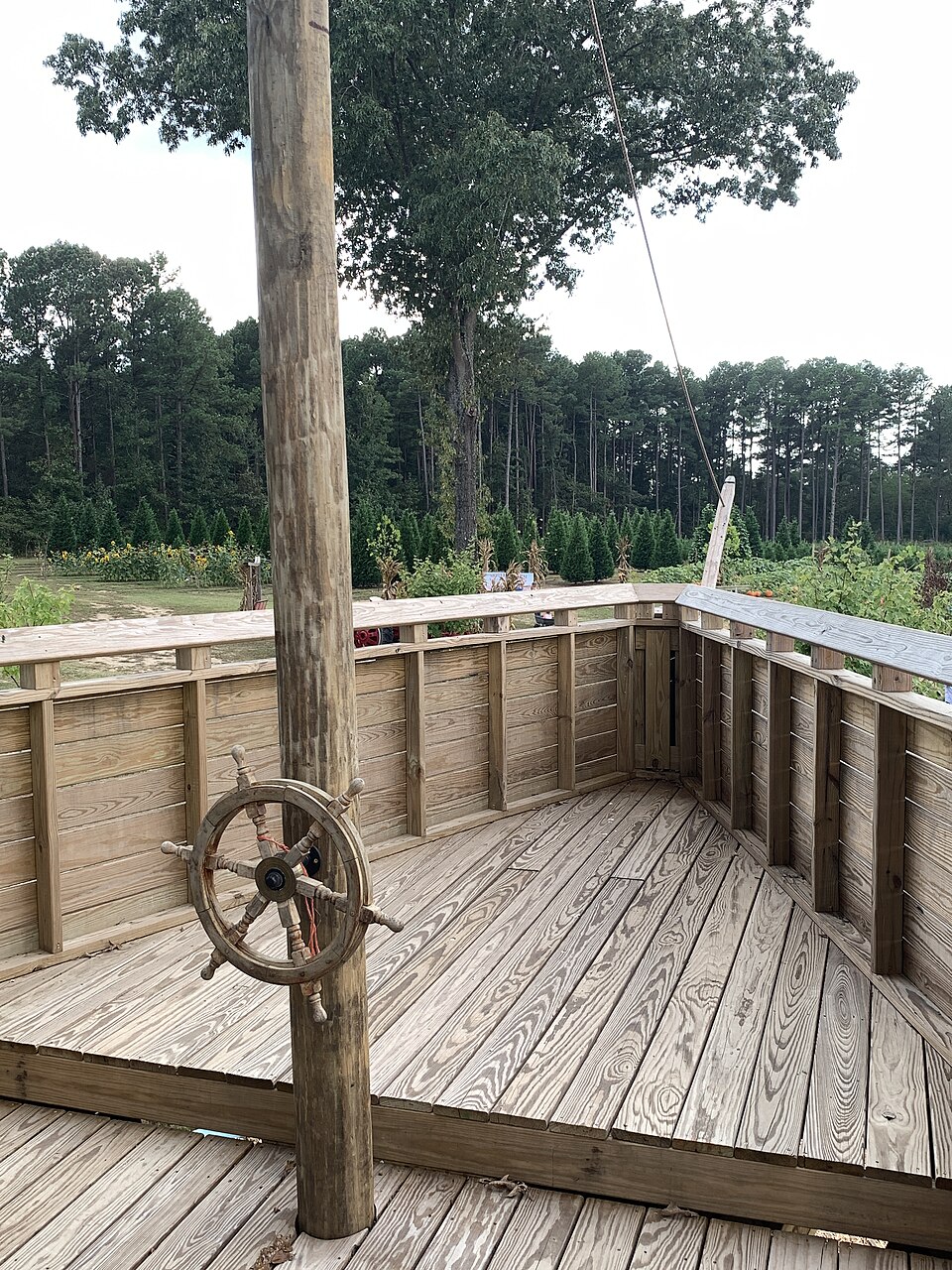 Luminara Farm pumpkin patch