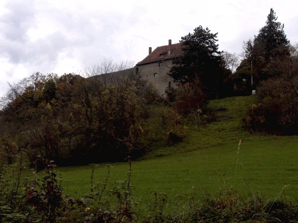 Castle towers and walls